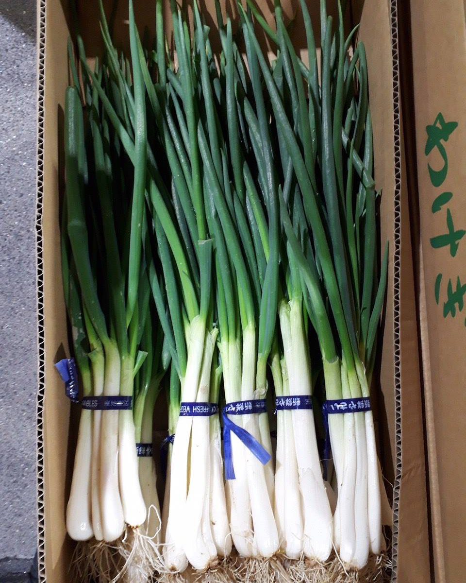 Vol 26 わけぎ 香川県卸売青果ネットワーク